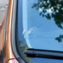 COVID Safe Auto Glass Replace Near Me